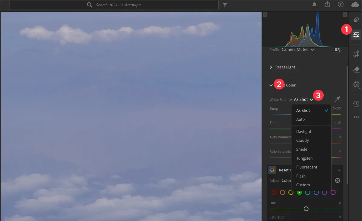 라이트룸 화이트밸런스_01